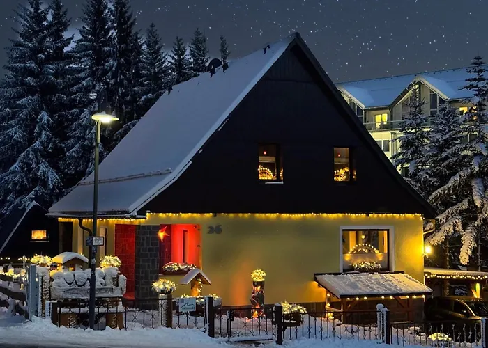 Ferienwohnung-direkt-am-skihang
