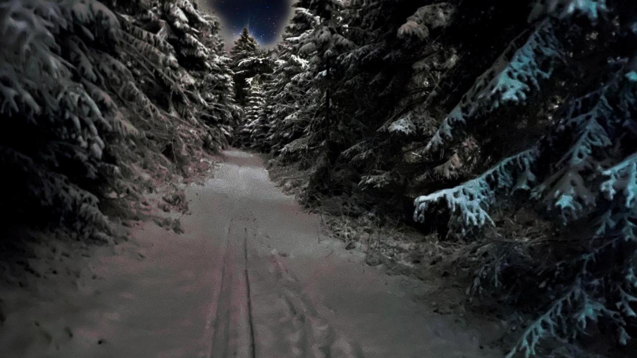 Ferienwohnung-direkt-am-skihang Oberwiesenthal