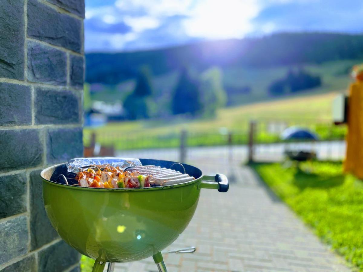 Ferienwohnung-direkt-am-skihang