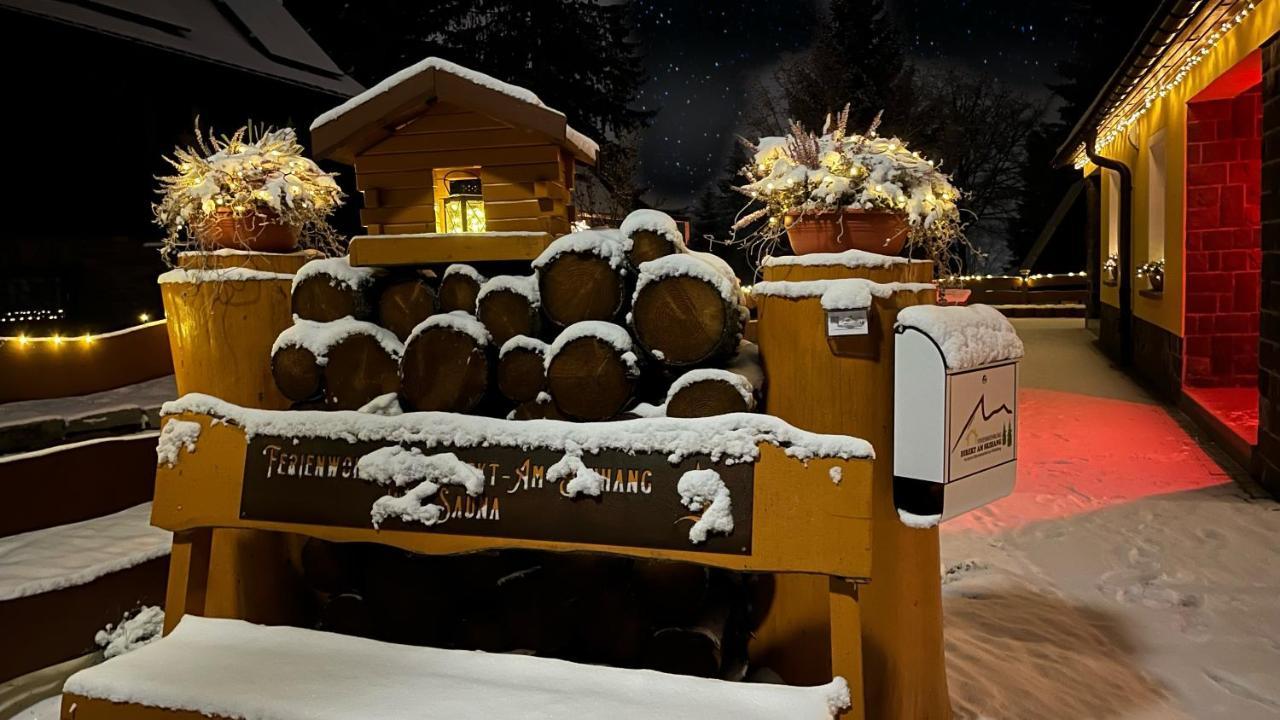 Apartment Ferienwohnung-direkt-am-skihang Oberwiesenthal
