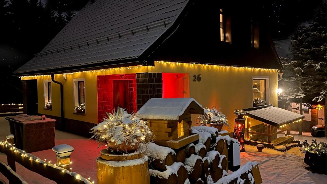Ferienwohnung-direkt-am-skihang