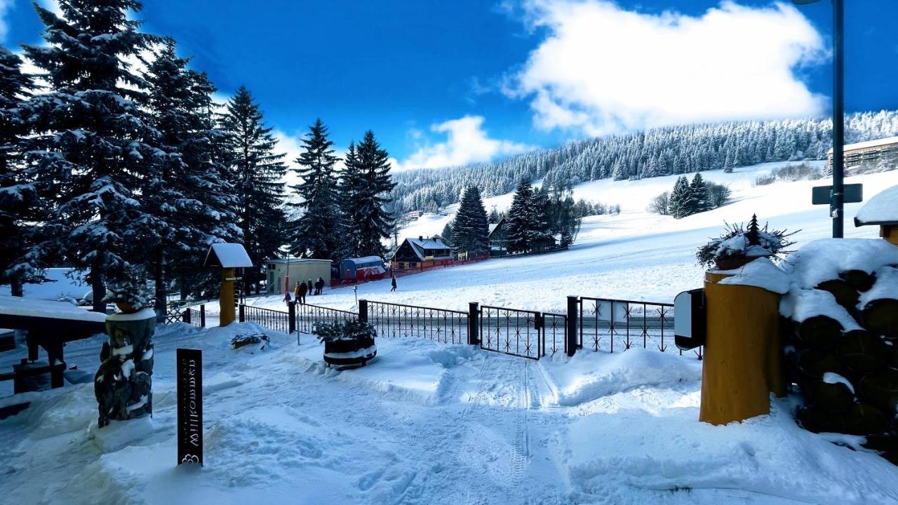 Ferienwohnung-direkt-am-skihang * Oberwiesenthal