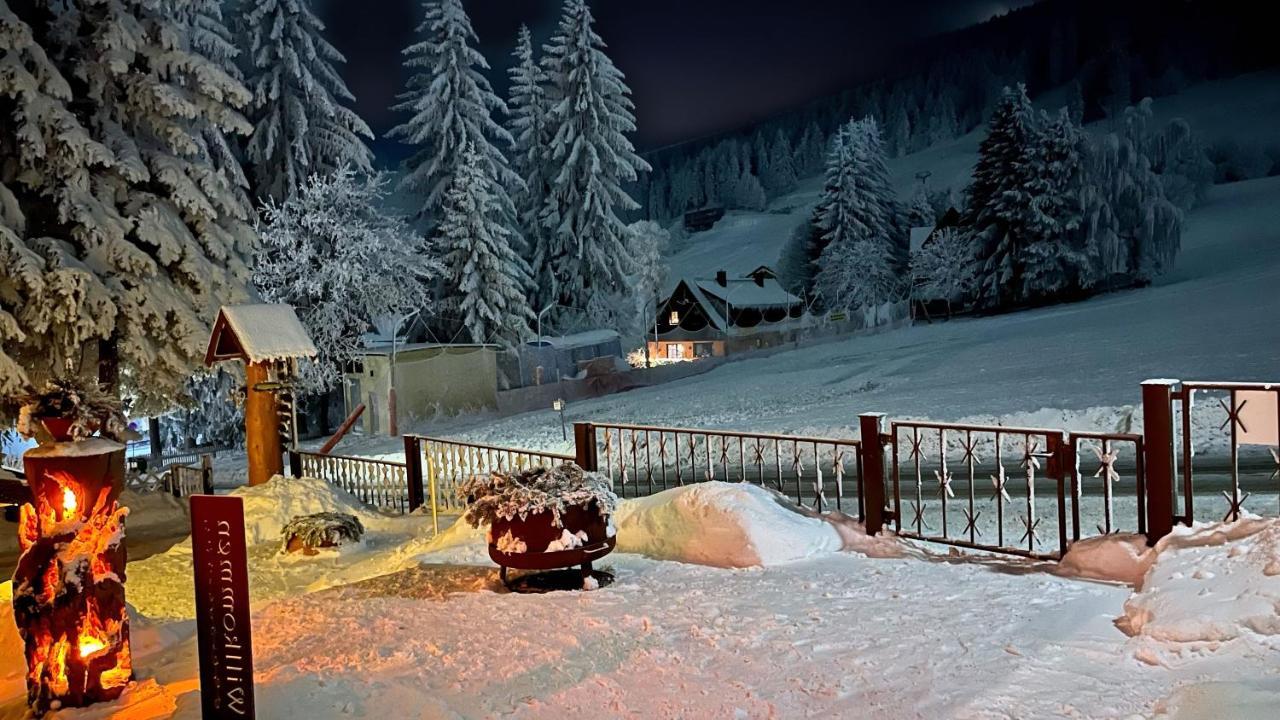 Ferienwohnung-direkt-am-skihang Apartment Oberwiesenthal