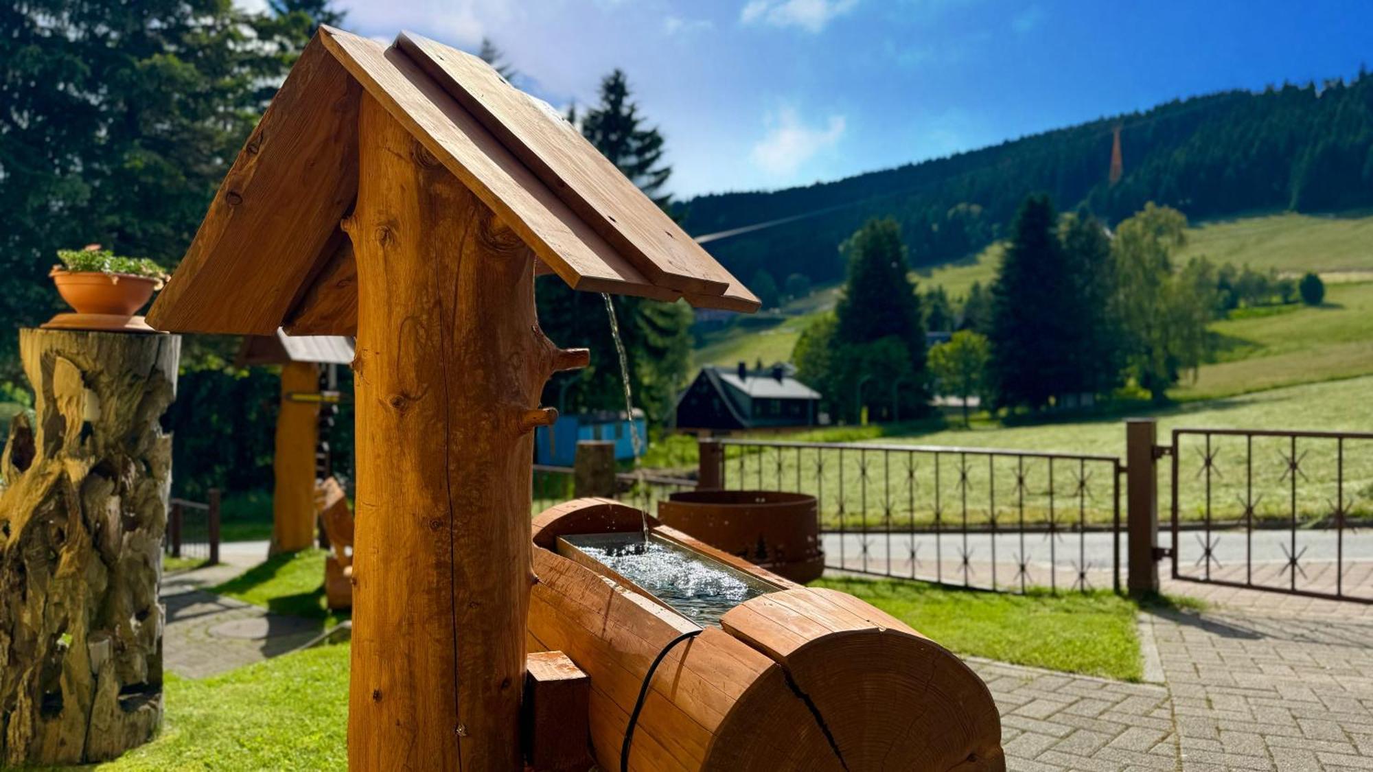 Ferienwohnung-direkt-am-skihang *